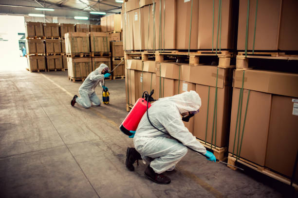 Best Local Pest Control Services  in Starbuck, MN