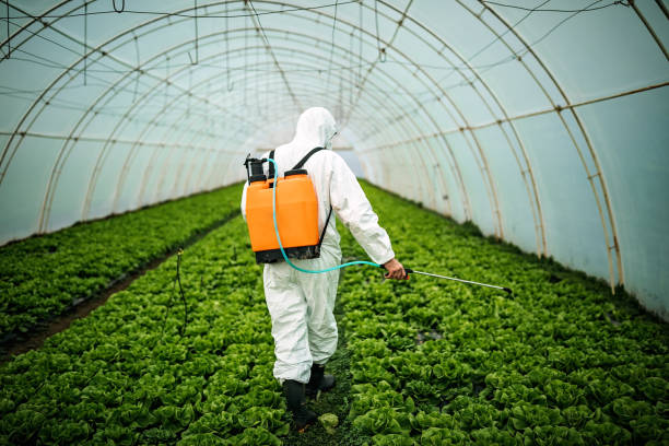 Best Mosquito Control Services  in Starbuck, MN