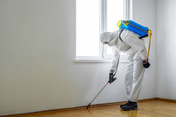 Professional Pest Control in Starbuck, MN