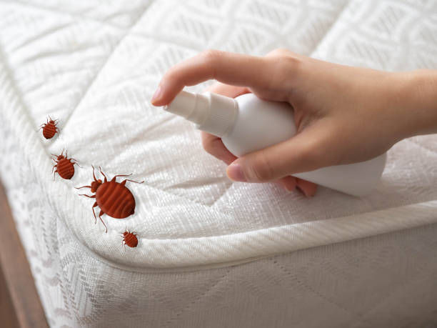 Best Exterminator Services  in Starbuck, MN