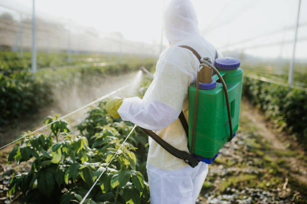 Pest Control for Restaurants in Starbuck, MN